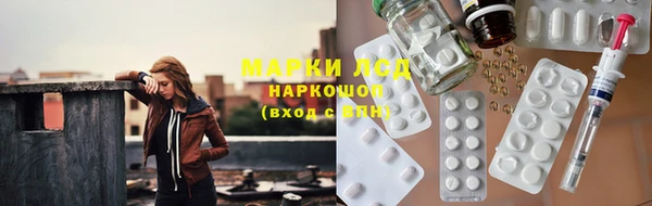 сатива Осташков