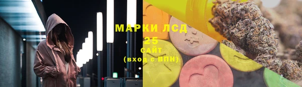 спайс Пересвет