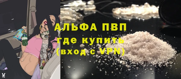 спайс Пересвет