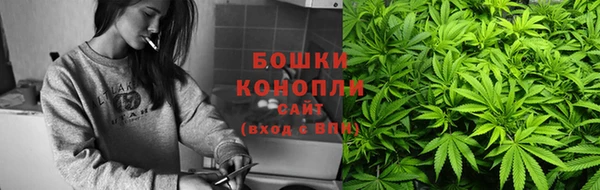 PSILOCYBIN Остров