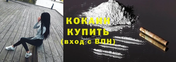 молекула духа Переславль-Залесский