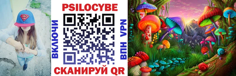 Псилоцибиновые грибы мухоморы  Купить закладки  Качканар 